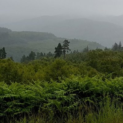 Szkocja – szlakiem jezior i dolin